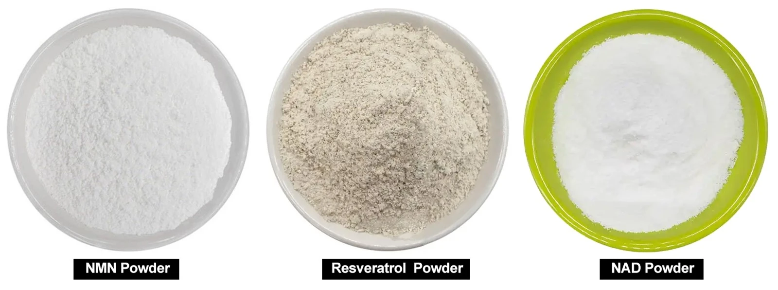 NAD NMN Resveratrol NAD NMN Resveratrol