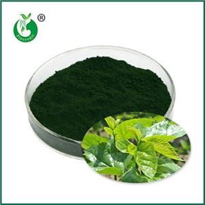 سوڈیم کاپر کلوروفیلن کیا ہے؟ یہ کس لیے استعمال ہوتا ہے؟