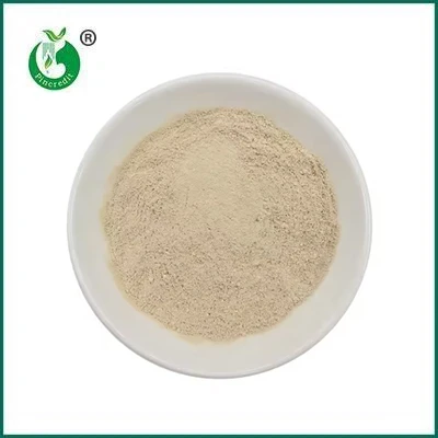 Urolithin A کہاں خریدیں؟