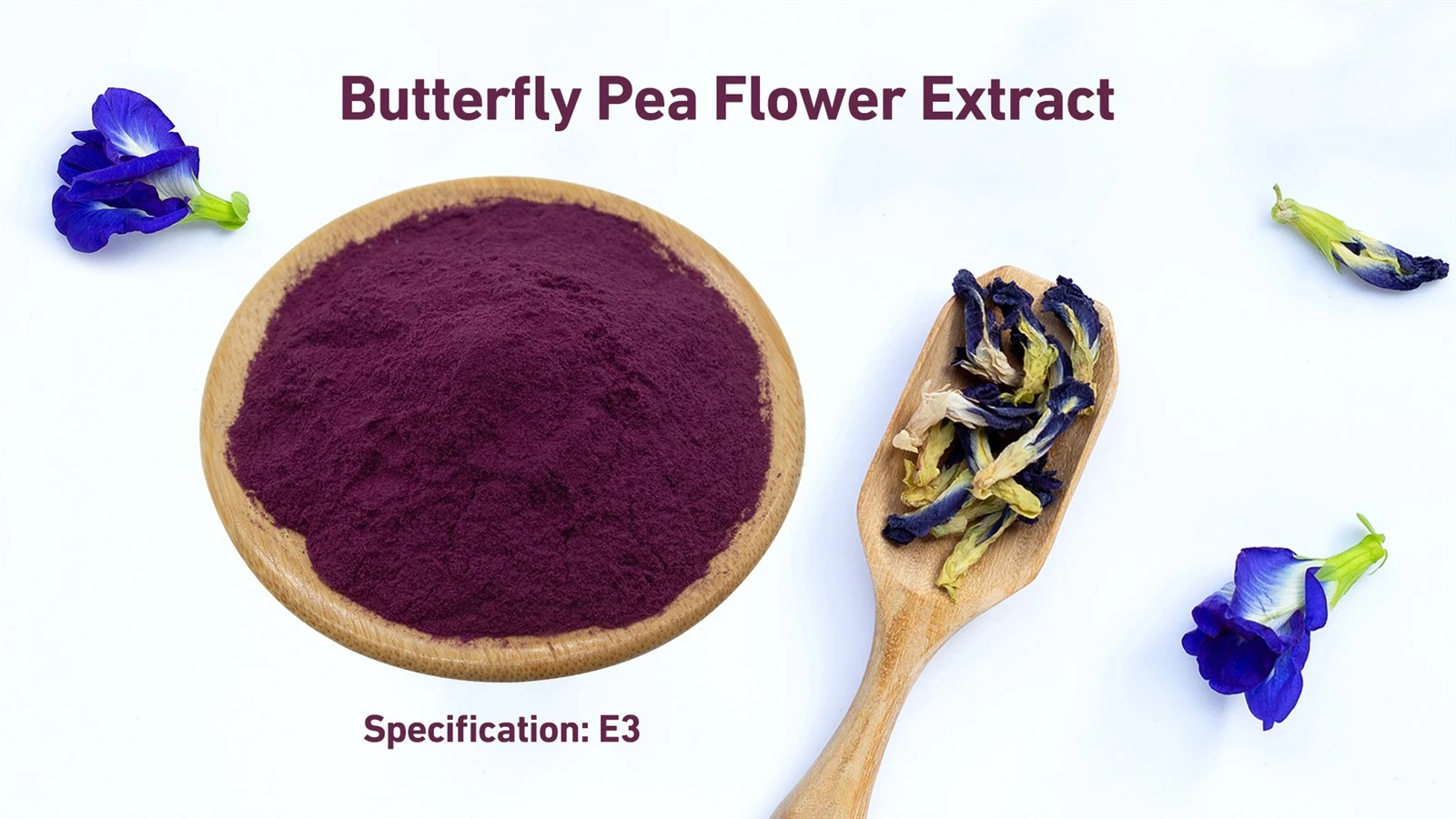 Butterfly Pea Extract Butterfly Pea Extract