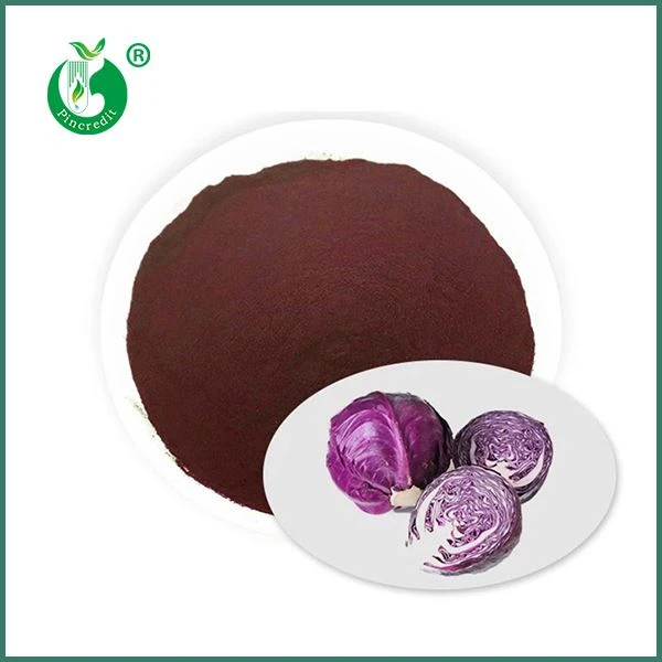سرخ گوبھی کا رس پاؤڈر۔